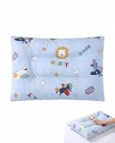 FPIJMG Funda de Almohada 40x60 cm (1 Uds), Algodón 100% Infantil con Estampado Avión, Cremallera Lateral Oculta, Transpirable y Suave para el Descanso Seguro de los Niños Durante Viajes y Siestas