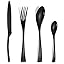 Black 24 Piece Set with Tea Spoon Black 24 Piece Set with Tea Spoon