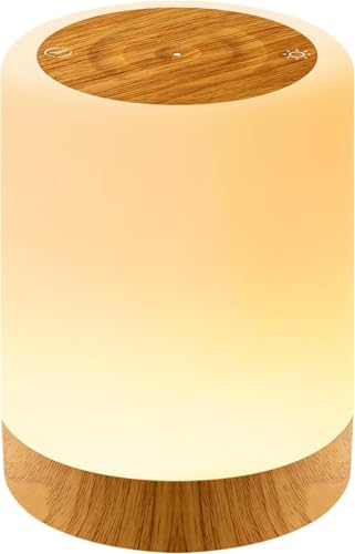 Auxmir Lampada da Comodino LED Touch, Luce Notturna RGB