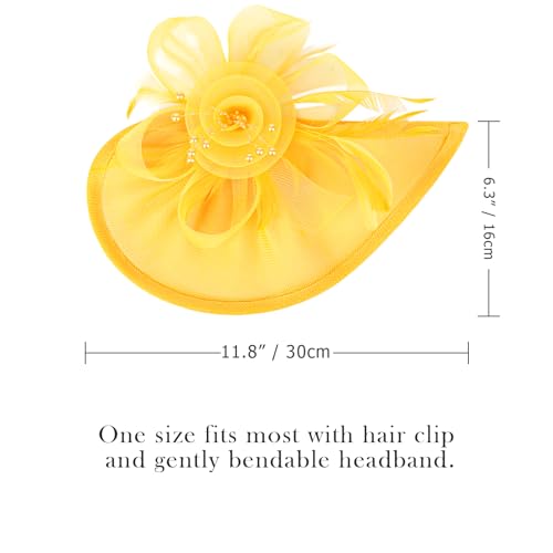 Image of DRESHOW Women Fascinator Hats Tea Party Hat Vintage Pillbox Hat Headband for Cocktail