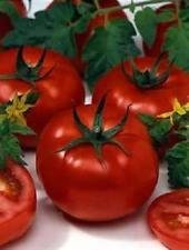 Pacchetto semi: 100 semi organici, opere pomodoro Semina nuovi semi per il 2017