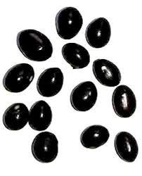 Original Black GUNJA/CHIRMI Seeds / 11PCS/Abrus Precatorius / गुंजा / Gulaganji/for Puja by GOYAM MERCHANDO