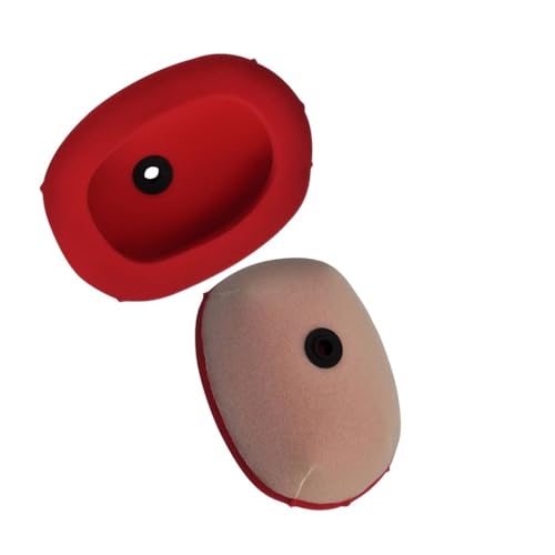 Filtre à air contre la poussière pour moto Honda CRF 450 250 CC RX