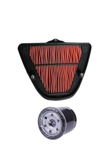 Filtre à air moto contre la perte de puissance Kawasaki VN1700