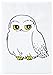 Carnet de note A5 Premium - Harry Potter - Hedwig