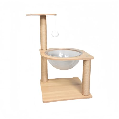 VexnarLbg^[ ^ؐLbgNC~Ot[ FDfUC LplXgXNb`{[h WvvbgtH[&W]fbL (؂̐F,K12) (K2,؂̐F)