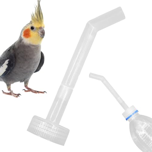 P[Wpp - {g[^ p,ANZT[ {EtB[ ZLZCCR u`E JiA IJCR CR p