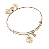 Alex and Ani Zodiac Bangle