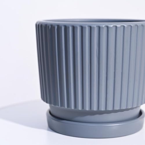 Image of UGAOO Roma Ceramic Pot |Indoor Ceramic Planter for Home, Office, Garden, Balcony - Gray (5 Inch)