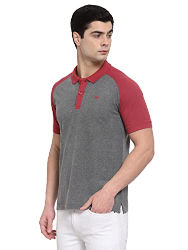 Image of Allen Cooper Polo Tshirts for Men