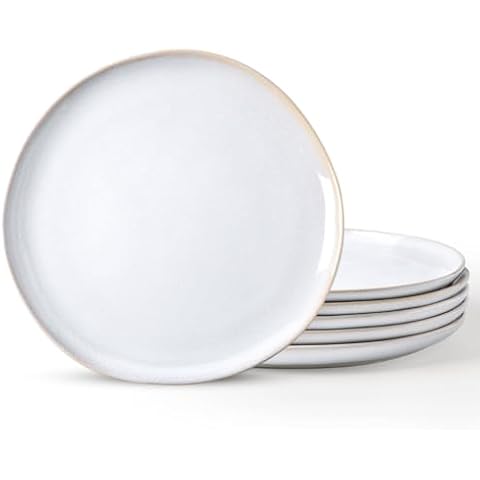 AmorArc Reactive Glaze Plates Set Cover