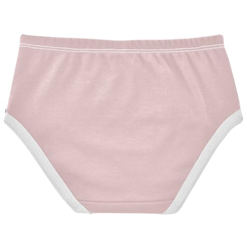 Joisal Sand Pink Girls Underwear Toddlers 2t Cotton Little Girl Panties Flower Kids Briefs Undies2