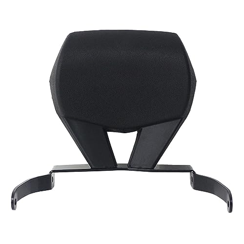 Forza 250 Sissy Bar Dossier Passager pour Balades et Trajets Urbains