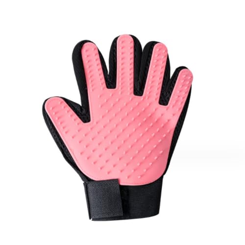 Xemuar ybguV LuV N[jOuV }bT[WuV ybgtPuV PAwAO[~O (ł,sN)