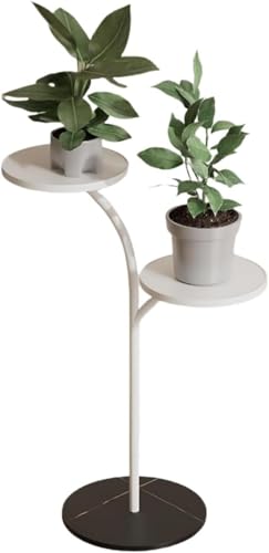 Ladfrol �t�����[�X�^���h ���� �t�����[�X�^���h �t�����[���b�N �ԒI �A���I �A�C�A�� �h�T�r ���u���X�^���h 2�i ���� �ϗt�A�� �� ���[ �ԑ� �X���� �� �J�o�[ �t�����[ ���b�N �� �A�ؔ� �u�� �I ���J�o�[ (�^�C�vB,02) [���s