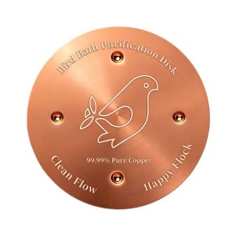 2 Pcs Pure Copper Bird Bath Purification Disc, 99.99% High Purity Cleaning Disc, 0.7mm Thick Four-Point Support, Physical Water Purifier, Weatherproof For Outdoor Birdbaths, Safe For Birds (Metal)