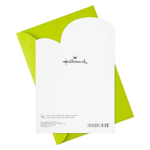 Hallmark Teacher Appreciation Card Assortment (6 Cards with Envelopes) for Kindergarten, Grade School, Preschool Teachers