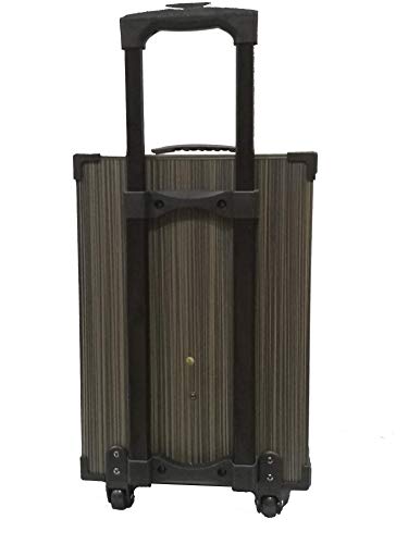 Image of TAKARA Karaoke Speaker T-9110 Portable Trolley 10 Inch Woofer Multimedia Bluetooth Speaker, with Audio Recording, Rechargeable Battery, USB,TF, PA System with 2 Wireless Mic Outdoor Wooden Speakers