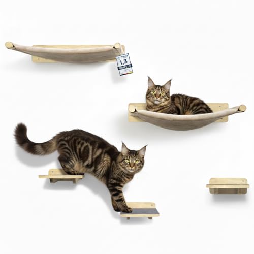 WOOWOOD Lot de 2 murs d'escalade pour chat - 2 escaliers muraux en...