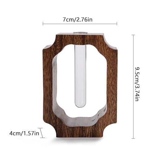 Vase hydroponique en verre avec support bois pour salon - 6