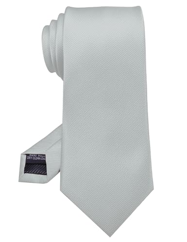RBOCOTT Silk Silver Tie Business Wedding Formal Necktie for Men (65)