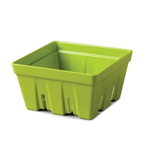 Zeal Fridge Storage Box for Fruits and Berries, Melamine Kitchen Storage Container – Wash and Serve Berry Colander Box, Large 15cm (Lime)
