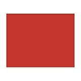 Pacon Peacock 100% Recycled Railroad Board, 22 x 28 Inches, 4-Ply, Red, Carton of 25 Sheets  (5475-1)