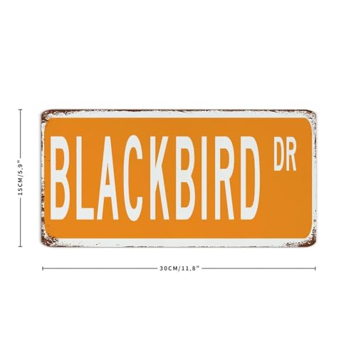 Blackbird - Letreros de metal de 15,2 x 30,5 cm, retro, para comedor, hogar, patio, habitación, decoración para hombres, placa de metal con nombre de mascota, letreros personalizados para patio