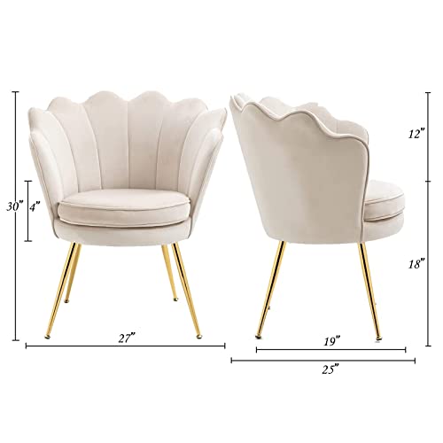 Zjhome Modern Accent Velvet Chairs Set Of 2 Comfy Upholstered Vanity Chairs For Bedroom Shell-Shaped Armchair Dining Chairs With Golden Metal Legs Desk Chair Makeup Chairs For Living Room(Beige) #TOP1