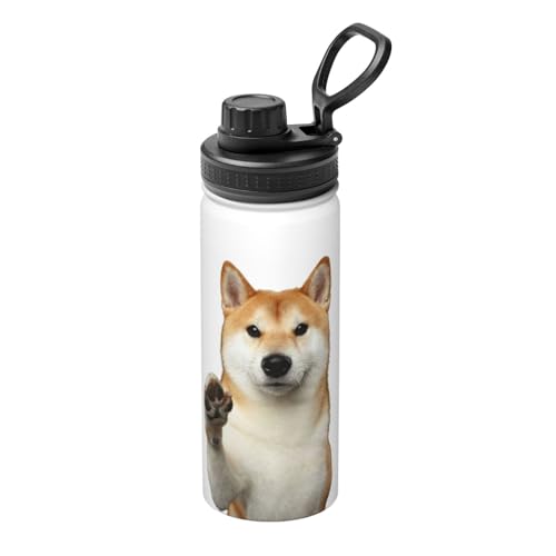  Č   XeX{g @r 500ml  ۗۉ ^fM X|[c{g e nht ^ Rh~  oR AEghA ʋ ʊw