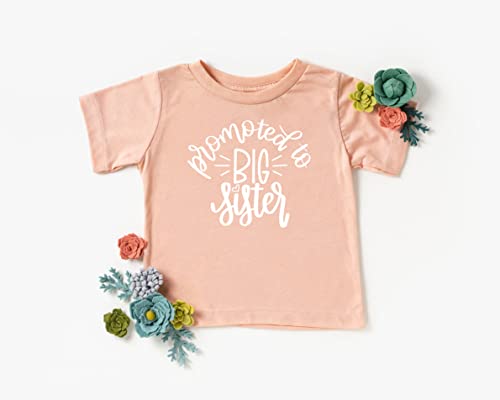 Olive Loves Apple Promoted To Big Sister Colorful Announcement T-Shirt For Baby And Toddler Girls Sibling Outfits Mauve Shirt #TOP6