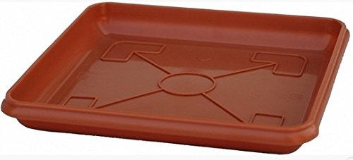 Terracotta Pot piatto Ramona L15Cm Confezione da