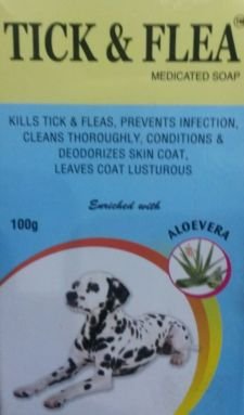 soap for dog fleas