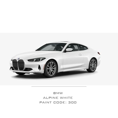 Image of Paint Scratch Fix Exact BMW Touch Up Paint Alpine White 300, Car Paint Pen, Auto Marker For Scratches, Fixed Keyed Car And Stone Chips, Manufacturer Exact Color Code Match (BMW - Alpine White - 300)