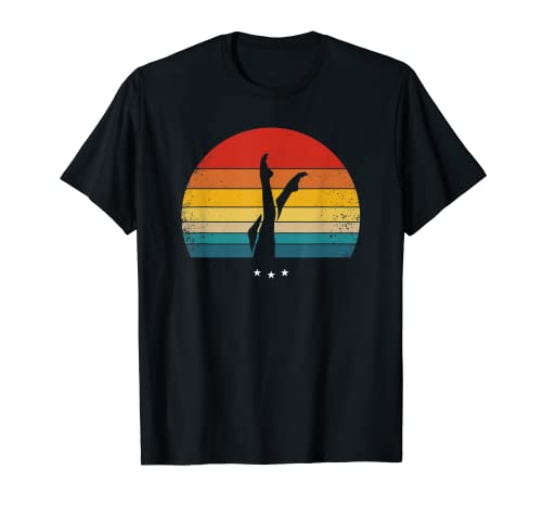 Natation synchronisée - Rétro T-Shirt Cover