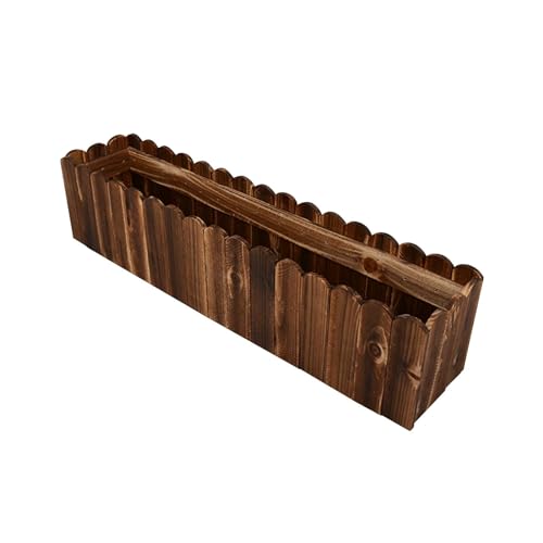 T Tooyful CސAؔ ؔ Op ` ؐA z[A[g _ƕ pt[oPc, 炢