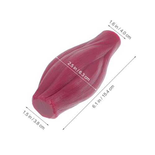Modèle musculaire pour enseignement des sciences Cabilock silicone 1 Lb - 2