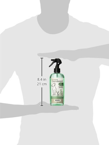 Download Is Eucalyptus Oil Safe For Dogs Pictures