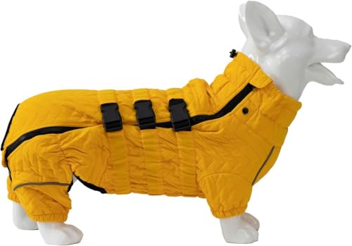 JoyeeLii pXm[WPbg _b h gpR[gNXtg rt ˌxXg Wbp[t ~H R[M[ ߉\ȉOph (CG[,D-S)