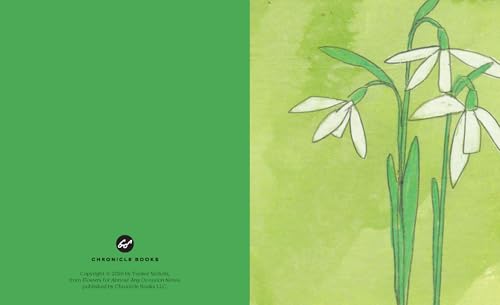 Flowers for Almost Any Occasion Notes: 20 Notecards & Envelopes