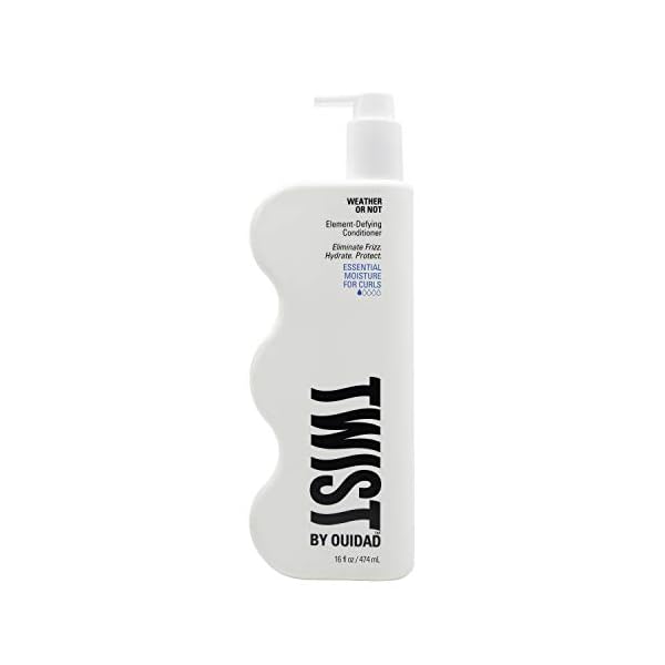 TWIST-Weather-or-not-Element-defying-Conditioner-16-ounces TWIST Weather or not Element-defying Conditioner, 16 ounces