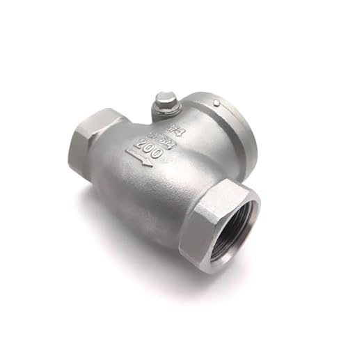 Válvula de retención horizontal 1 pulgada BSP para tuberías con rosca hembra 304ss 5