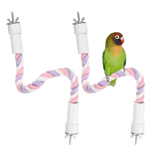 M METERXITY p[vp[` 2pbN 13.8C` KObv tLVu[vp[` ΂  IE/IJCR ̃vbgtH[Th [sNp[v]