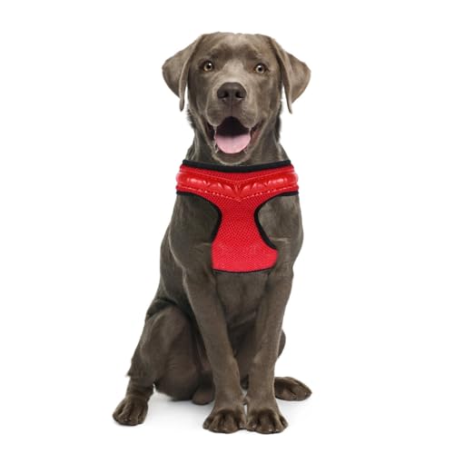 Chaleco transpirable para perros WATIIFUFU con luz LED y carga USB de nylon para pasear de noche 7