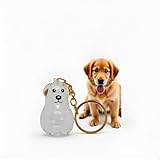 Dog Hair Keepsake Keychain,Dog Hair Collector Keychain Charm Memorial Storage Boxs,Pet Memorial Transparent Keychain(Golden Retriever).