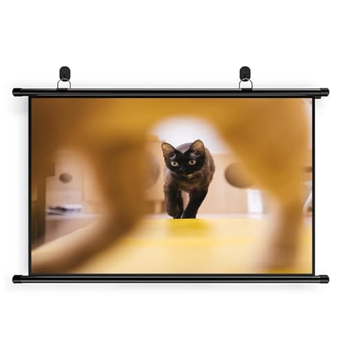 Pantalla Manual de Proyección 72" 4:3 HD Portátil