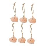 CIYODO Natural Salt Lick Blocks 6 Pack Deer Cattle Promote Health Immune System