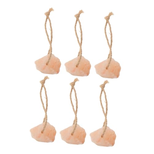 CIYODO Natural Salt Lick Blocks 6 Pack Deer Cattle Promote Health Immune System