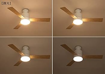 Amazon.co.jp : BELLED LEDシーリングファンライト バズー