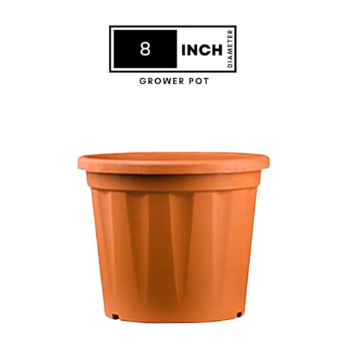 Image of 8 Inch Heavy Duty Plastic Planter | Grower Pot /Garden Pot for Home & Garden (Black) (Pack of 12)